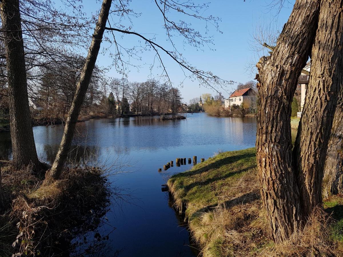 Zum Eulennest Apartman Drezda Kültér fotó