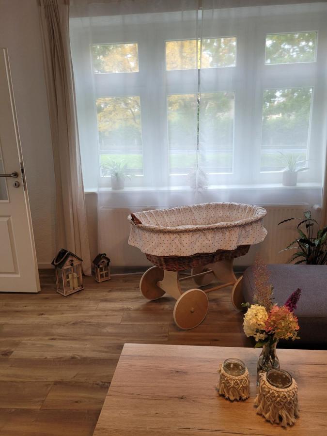 Zum Eulennest Apartman Drezda Kültér fotó